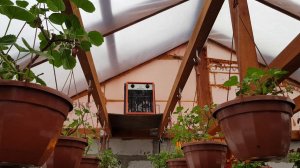 БОРЬБА С КОНДЕНСАТОМ В ТЕПЛИЦЕ