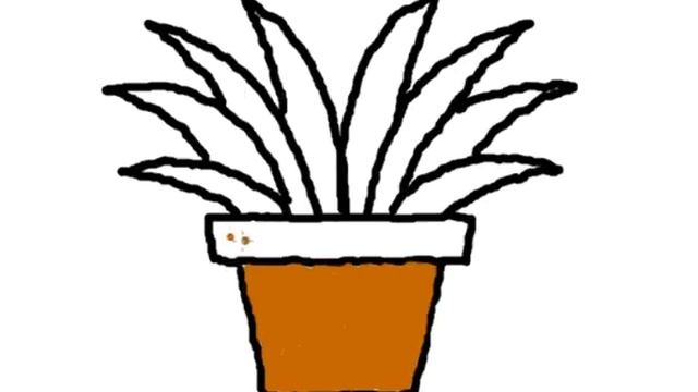 How to draw aleovera plant смотреть онлайн