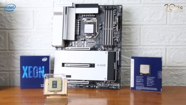 INTEL XEON W-1270P. Kẻ thầm lặng giữa chiến tuyến - Phân phối chính hãng bởi NPP Thủy Linh! смотреть онлайн