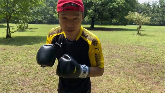 Virtual Sparring　10Rounds