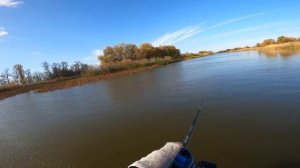 Shimano Curado DC - Большой тест-драйв