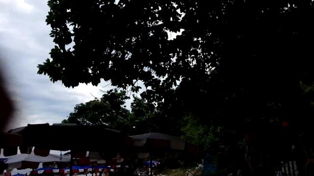 Тайланд день #5 Обезьяны смотреть онлайн