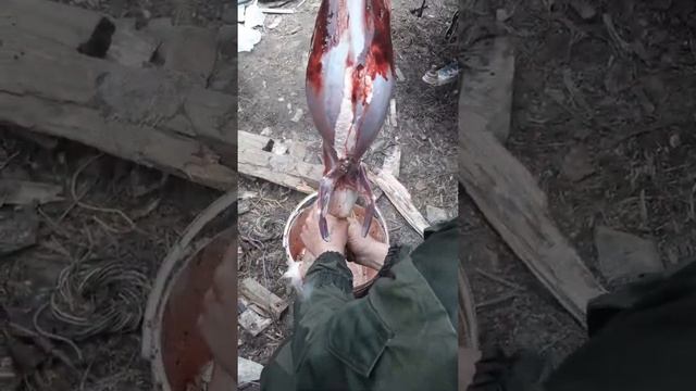 Как разделать зайца быстро