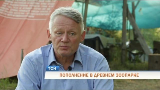 В Пермском крае нашли скелет древних птиц, живших полмиллиона лет назад смотреть онлайн
