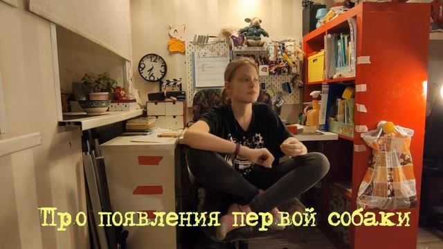Как упросить родителей купить собаку? Как упросить родителей купить вторую собаку? смотреть онлайн