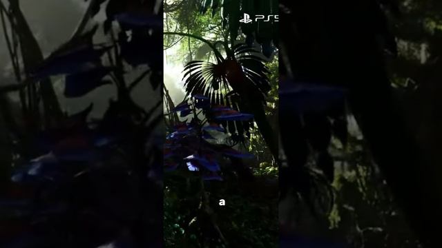 Всё о PS5 Pro за 60 секунд смотреть онлайн