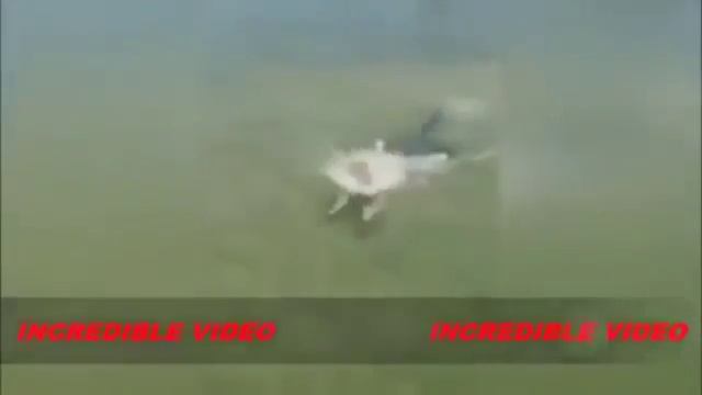 Жесть! Скат напал на человека! Скат vs Человек! смотреть онлайн