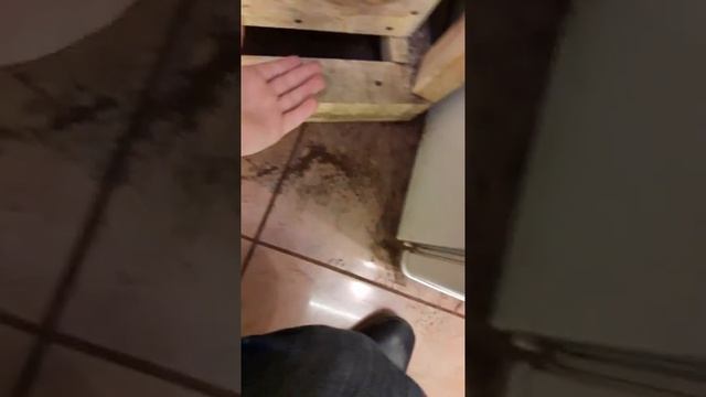 Колумб пятна кофе начало октября смотреть онлайн