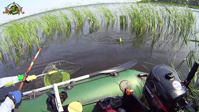 Рыбалка на крупного карася.ТАКИЕ КАРАСИ ЛОМАЮТ УДОЧКИ. смотреть онлайн