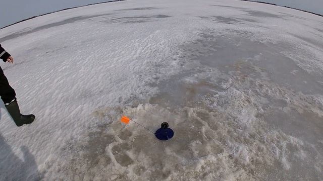 Рыбалка в апреле на озере! Ловля Щуки на жерлицы! И немного про шуруповерт Heimerdinger 18v ! смотреть онлайн