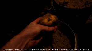 Как хранить картошку, морковку, репу зимой