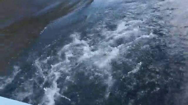 Glacier national park & Waterton lakes National Park - Hiking Trip 9 смотреть онлайн