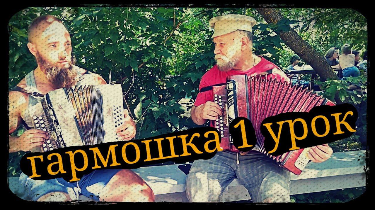 Гармошка первый урок Скунцев В.Н. Школа Корогод смотреть онлайн