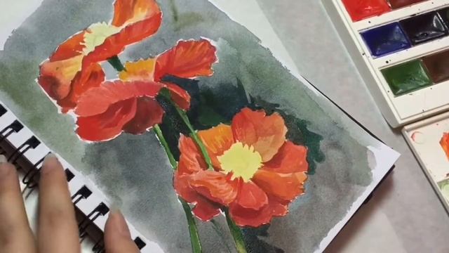 Aquarelle -time Laps создания акварелью красных маков в скетчбуке