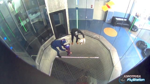 Собаки тоже летают в аэротрубе смотреть онлайн