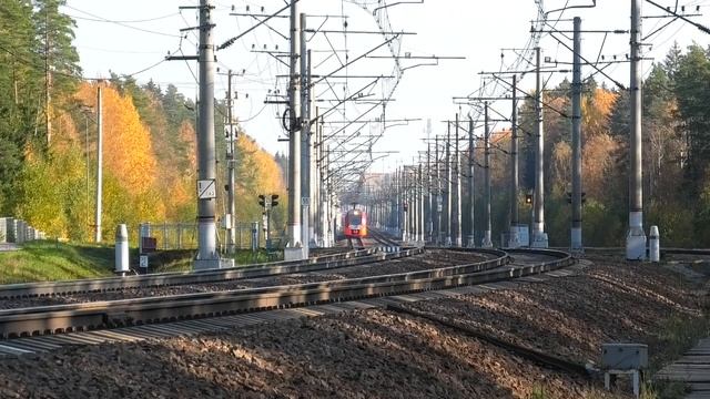 Приветливая сдвоенная ЭС2Г-020/010 "Ласточка" сообщением Санкт-Петербург — Каннельярви смотреть онлайн