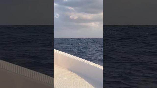 Маврикий. Mauritius. 毛里求斯。 смотреть онлайн