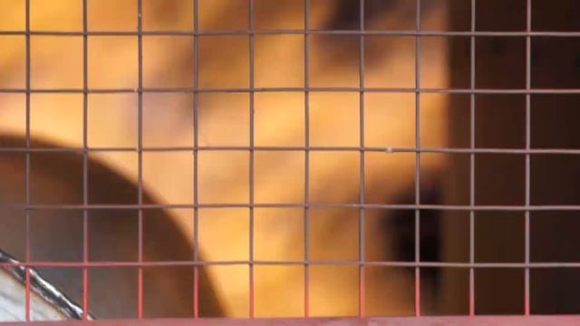 Липецк. Зерносушилка Universal-34. Отзыв фермера о конвейерной зерносушилке. смотреть онлайн