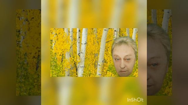 "Гляжу в озера синие". Муз. Л. Афанасьев, стих. И. Шаферан. смотреть онлайн