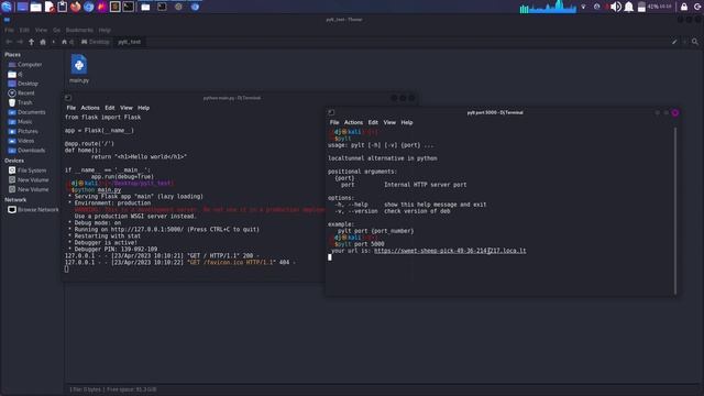 py-localtunnel : localtunnel client in python ?? смотреть онлайн