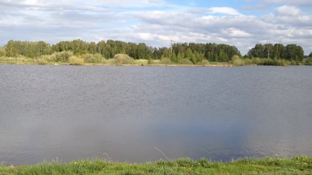 Озеро для рыбалки рядом с Экопарком смотреть онлайн