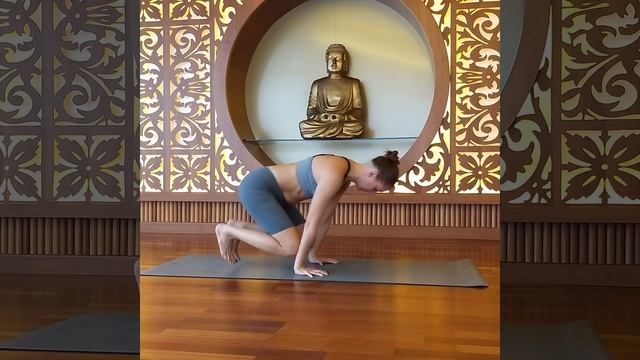 Поза ворона. Асана бакасана (baby bakasana). Йоза з Альоною Кучер. День 11 AloAnimals йога челлендж смотреть онлайн