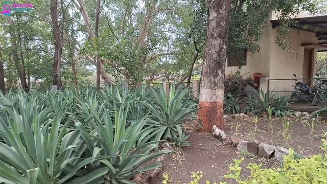 Samsung Galaxy F54 5g Unboxing And Full Review | 120Hz SuperAMOLED Plus | 108MP OIS | 6000 MAh | 25