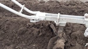 Метод посадки раннего  картофеля  РИВЬЕРА. под пленку.