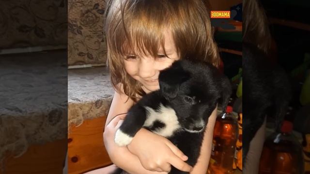 Из земляной норки на подушку | + 7 спасенышей дома! смотреть онлайн