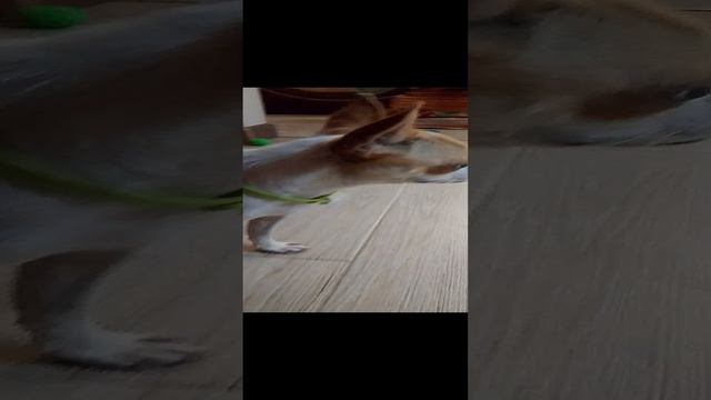 😆😆😆 смотреть онлайн