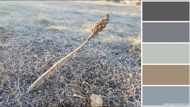 01 Клубок Идей ИНЕЙ Вдохновение смотреть онлайн