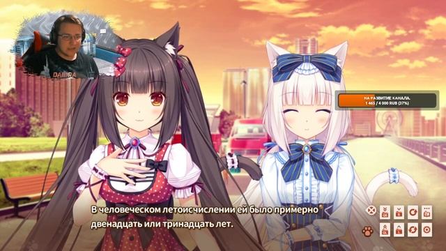 NEKOPARA Vol.1 ► КОШКОДЕВОЧКИ!? #1 смотреть онлайн