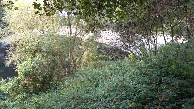 Река Анграпа и Горбатый мост в Черняховске Brokeback Bridge and Angrapa River in Chernyakhovsk смотреть онлайн