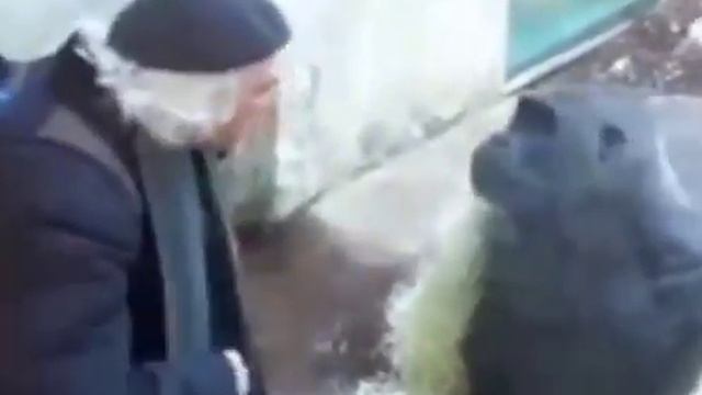когда пытаешься объяснить что-то другу. смотреть онлайн