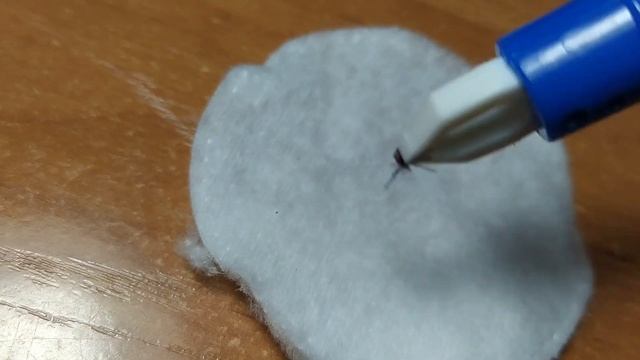 Животные и Их Жизнь