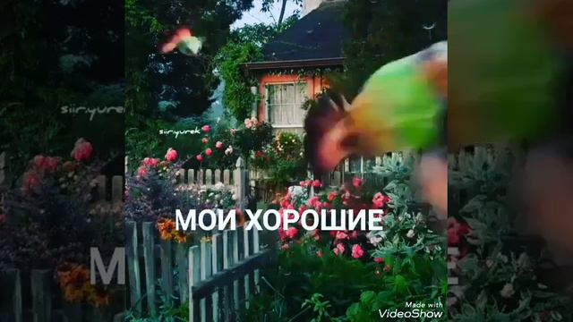 С добрым утром Дорогие братья и сестры смотреть онлайн