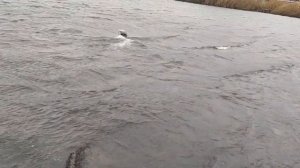 Китай кораблик s70-15 улучшаем ход