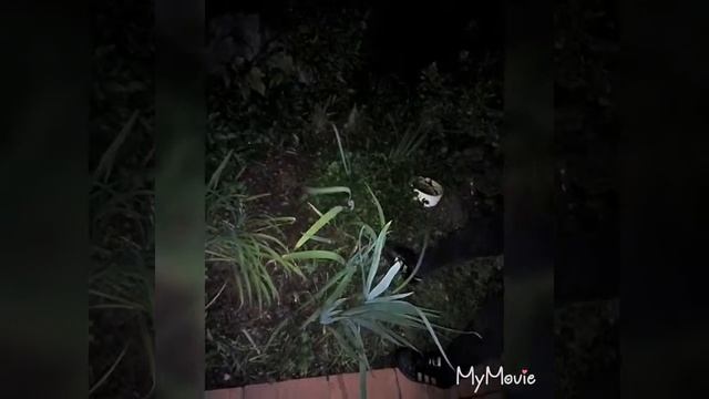 EXTREME EASTER EGG HUNT IN THE DARK смотреть онлайн