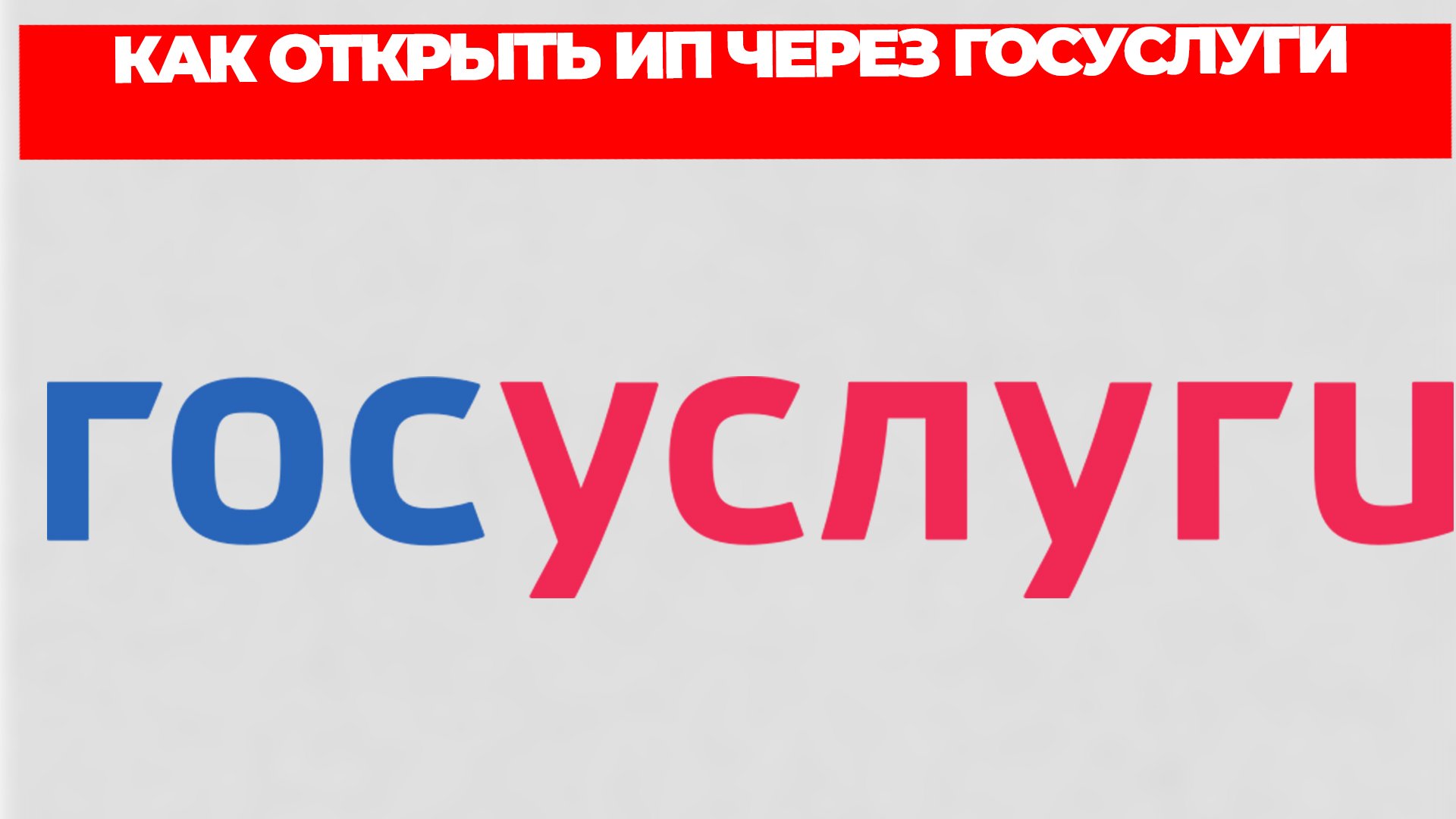 Всезнающий Енот