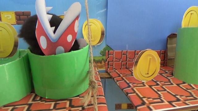 СМЕШНЫЕ ХОМЯКИ ИГРАЮТ В СУПЕР МАРИО FUNNY HAMSTERS PLAYING SUPER MARIO смотреть онлайн