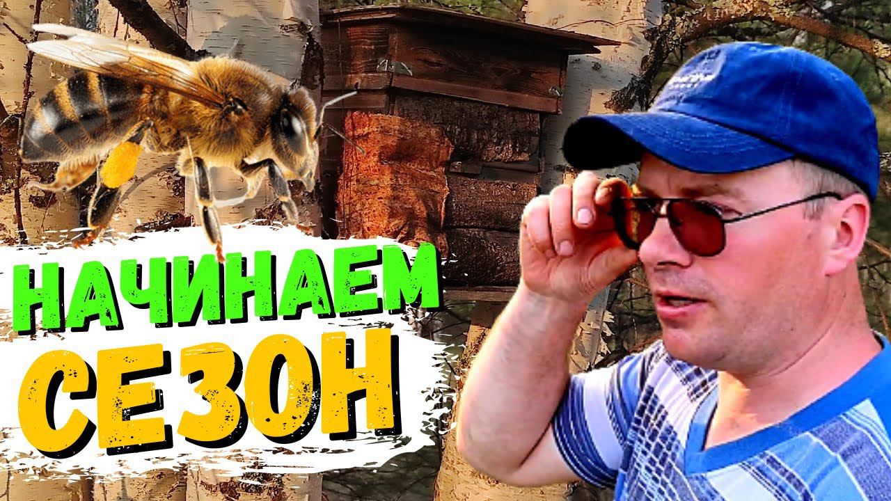 Начинаем расставлять ЛОВУШКИ НА ПЧЁЛ. 2021 #42 смотреть онлайн