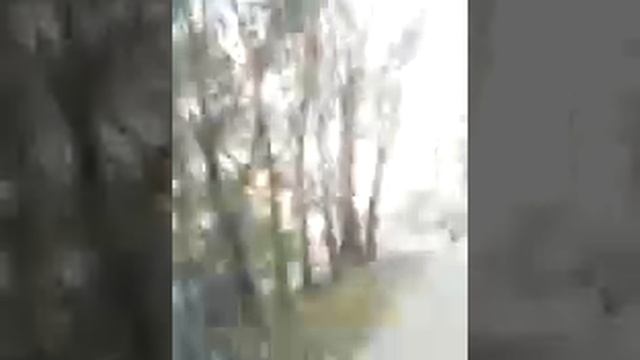 Влог в индиго лайф