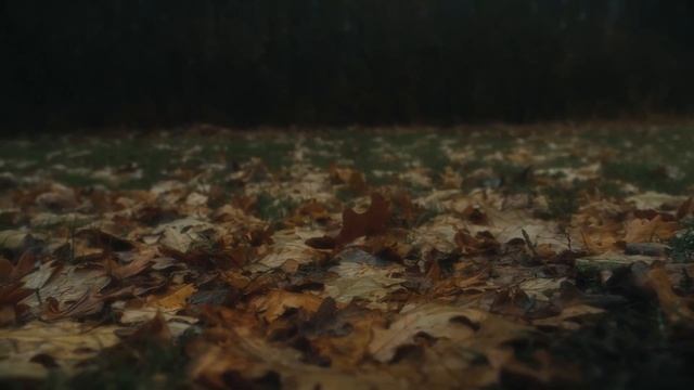 КТО Я? ЧТО Я? ТОЛЬКО ЛИШЬ МЕЧТАТЕЛЬ... | Сергей Есенин смотреть онлайн