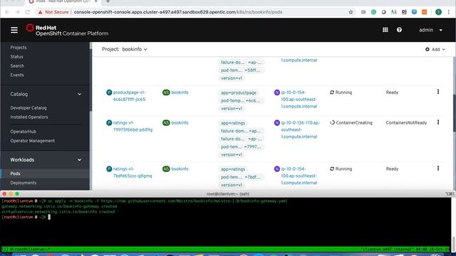 OpenShift Service Mesh install and use смотреть онлайн