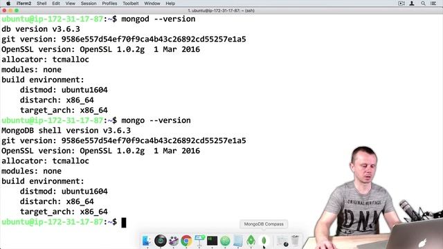 MongoDB Shell: 03 Exploring MongoDB Server and Shell versions смотреть онлайн
