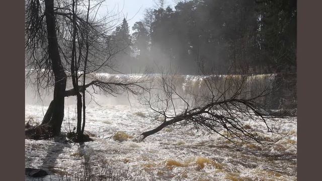 Estonia, maastik. fotostuudio www.AKOLIT.eu смотреть онлайн