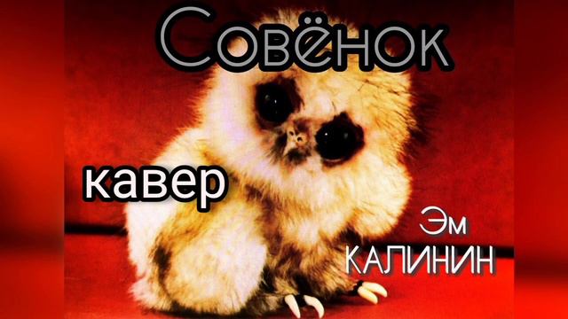 Эм Калинин - Совёнок (кавер) смотреть онлайн