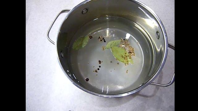 Зоопарк и Дикие Животные