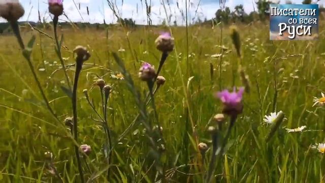 Одно только нужно Вкусите увидите, как благ Господь Изобилие радости Глубина мира Полнота жизни смотреть онлайн