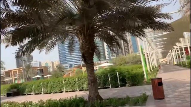 Al Majaz Waterfront Sharjah United Arab Emirates UAE Tour смотреть онлайн